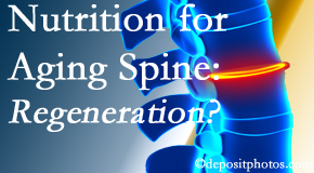 Old Mill Chiropractic sets individual treatment plans for patients with disc degeneration, a consequence of normal aging process, that eases back pain and holds hope for regeneration. 