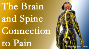 Old Mill Chiropractic looks at the connection between the brain and spine in back pain patients to better help them find pain relief.