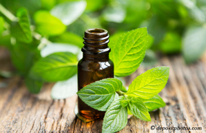 St Peters peppermint pain relieving benefits