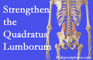 St Peters chiropractic care offers exercise recommendations to strengthen spine muscles like the quadratus lumborum as the back heals and recovers.