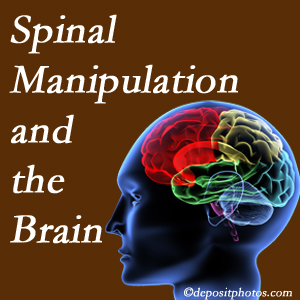 Old Mill Chiropractic [presents research on the benefits of spinal manipulation for brain function. 